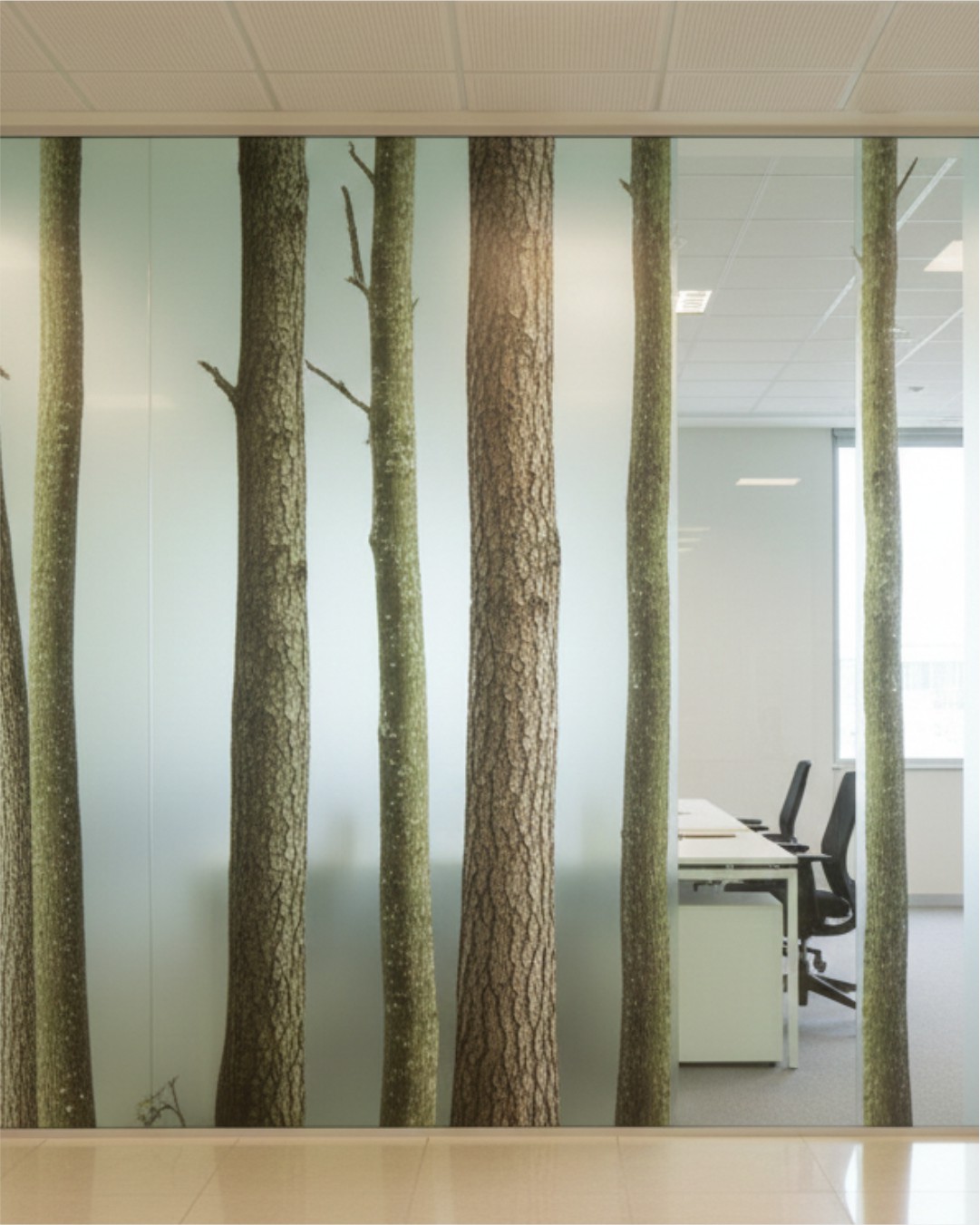 Frontal view of an office glass partition featuring a custom-printed biophilic film with realistic tree trunk textures and subtle green details.